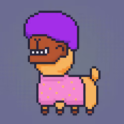 ALPACADABRA #4695