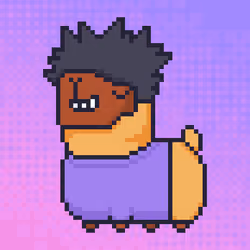 ALPACADABRA #1666