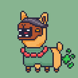 ALPACADABRA #6361