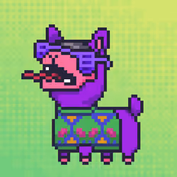 ALPACADABRA #8591