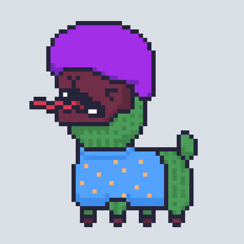 Alpacadabraz