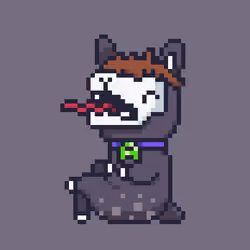 ALPACADABRA #4294