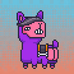 ALPACADABRA #4526