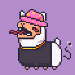 ALPACADABRA #6902