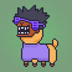 ALPACADABRA #2241