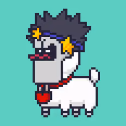 ALPACADABRA #5565