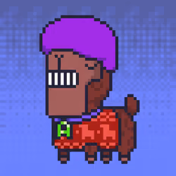 ALPACADABRA #698