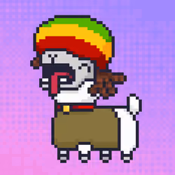 ALPACADABRA #670