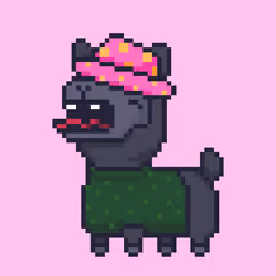 ALPACADABRA #498