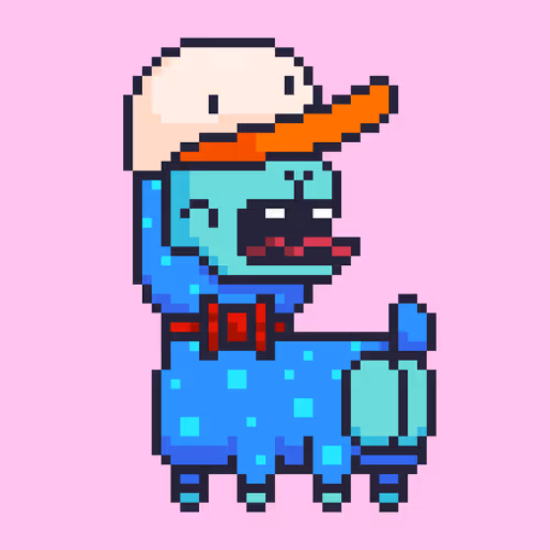 Alpacadabraz