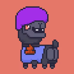 ALPACADABRA #5865