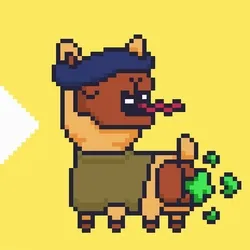 ALPACADABRA #5242