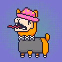 ALPACADABRA #7004
