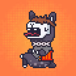 ALPACADABRA #2802