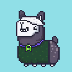 ALPACADABRA #909