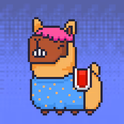 ALPACADABRA #525