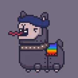 ALPACADABRA #4444