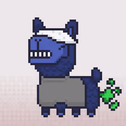ALPACADABRA #5040