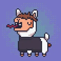 ALPACADABRA #8166