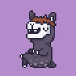 ALPACADABRA #3510