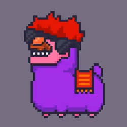 ALPACADABRA #4339
