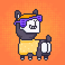 ALPACADABRA #3281