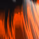 224