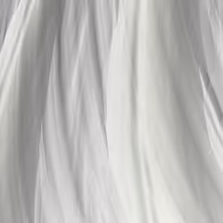 251