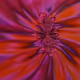 163