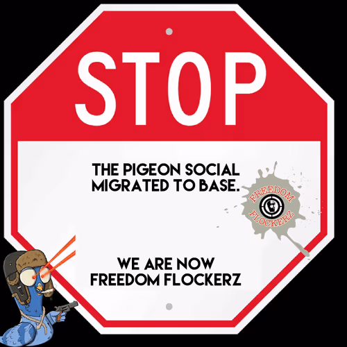 The Pigeon Social Tps