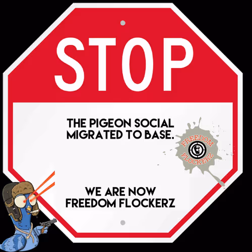 The Pigeon Social Tps