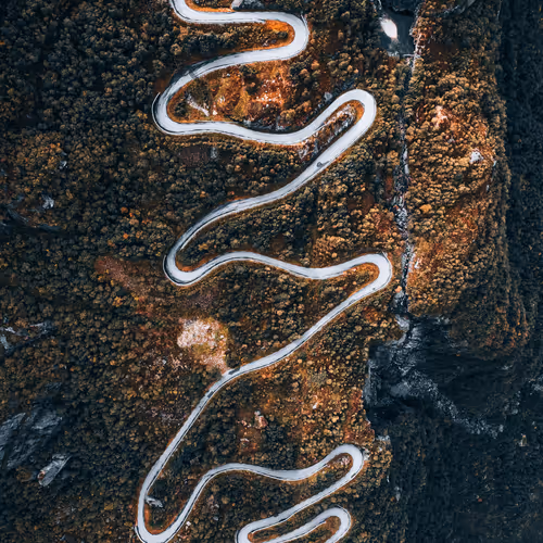 Curves By Sergio Antoni