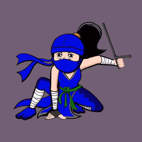 Ninja #102