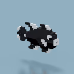 PET #2573