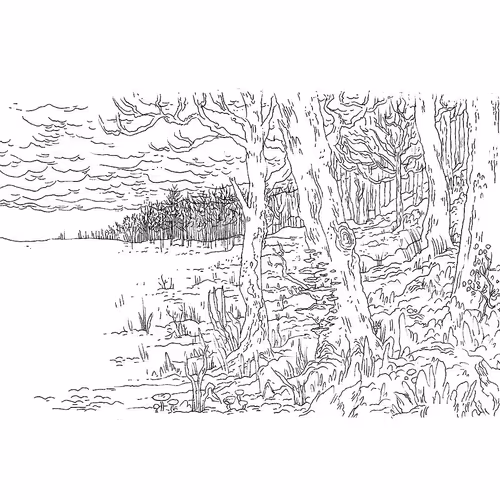 Item #37535137406482805435162451648802209415956022107474604280537993851069483974661 Media