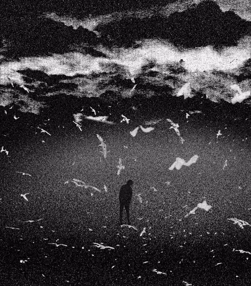 Item #79306411472447075503564095580335467461899922581916743349012743495122824462337 Media