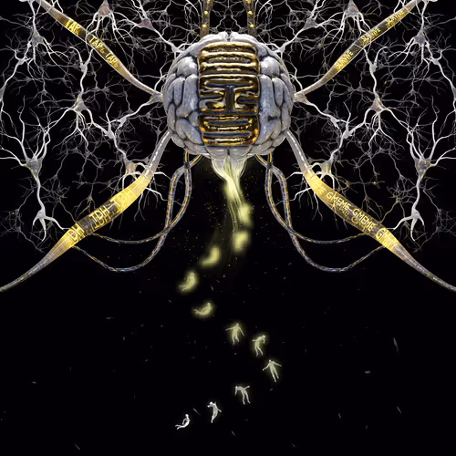 Neural Echoes