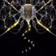 Neural Echoes