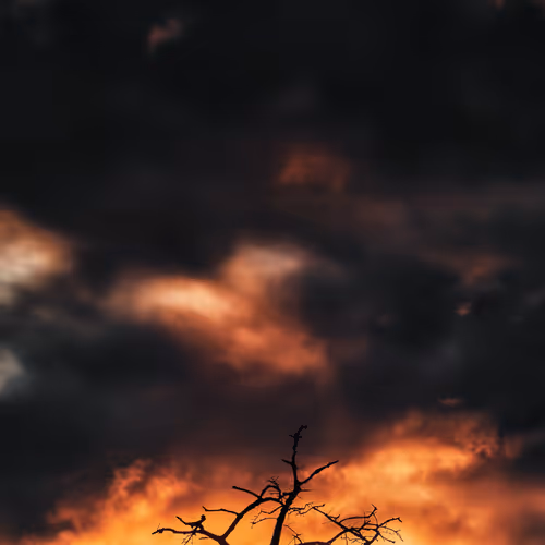 Jonas Hangartner - In Motion