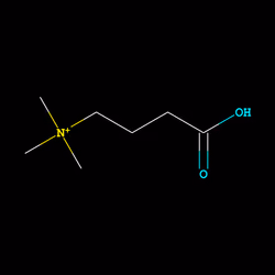 C7H16NO2+
