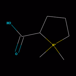 C7H14NO2+