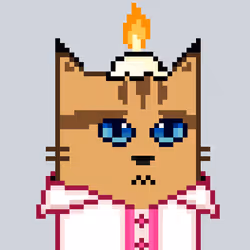 8216