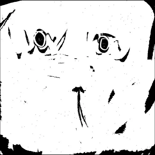Xphotocopy