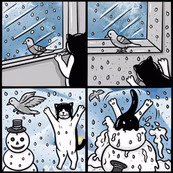 5555
