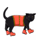 6304