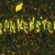 FRANKENSTEIN - Monster Mash