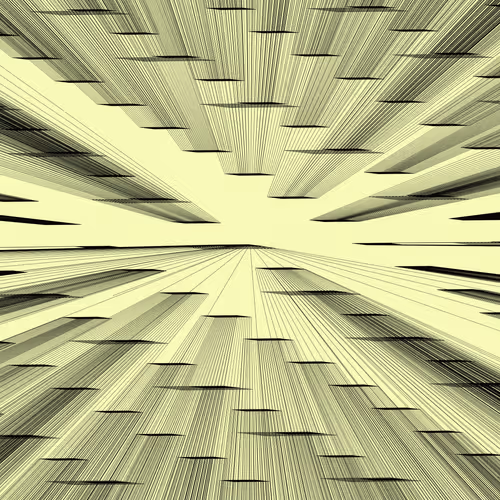 1337 Fortune Shells