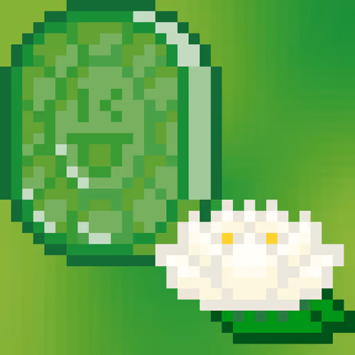 Murakami Flowers Coin