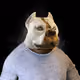 717