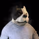 5203